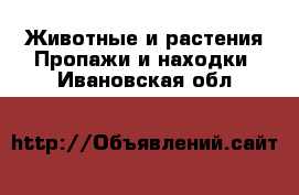 Животные и растения Пропажи и находки. Ивановская обл.